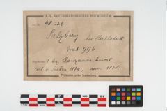 Foto von Bronzeschwert (NHMW-PRAE-048326)